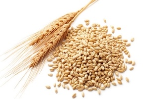 allergia alimentare al grano