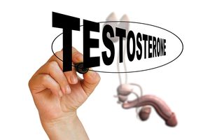 testosterone-et-performance-sexuelle
